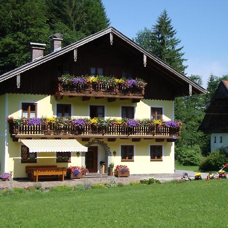 Apartmán Pferdehof Almgut Faistenau Exteriér fotografie