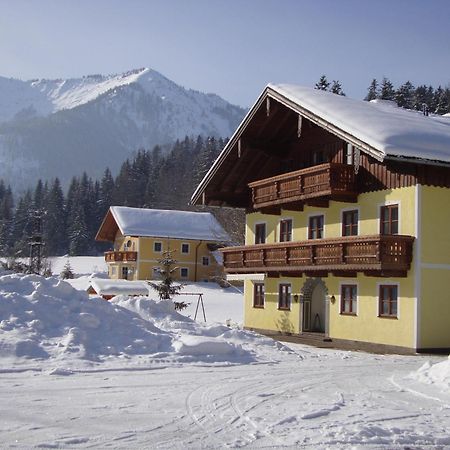 Apartmán Pferdehof Almgut Faistenau Exteriér fotografie